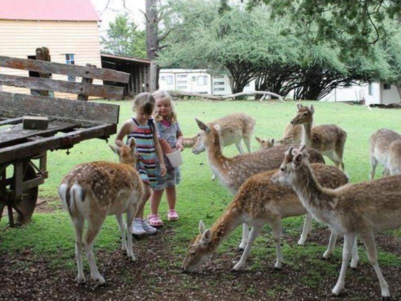 Deer Park Motor Inn Armidale Luaran gambar